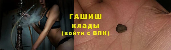 стафф Каменка