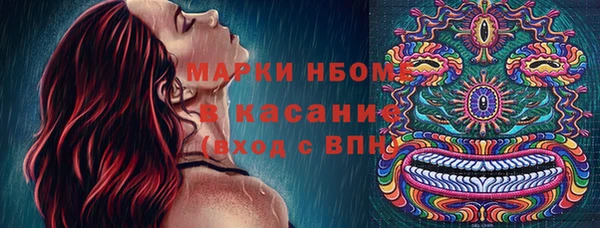стафф Каменка