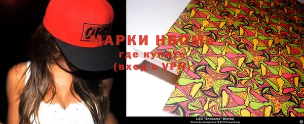 молекула духа Каменск-Шахтинский